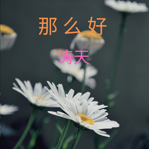 那么好