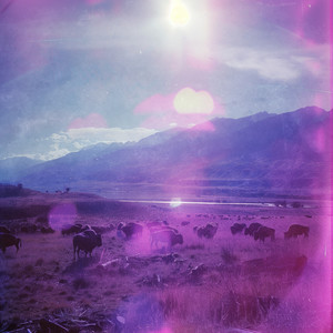 Northern Lights on the Heath