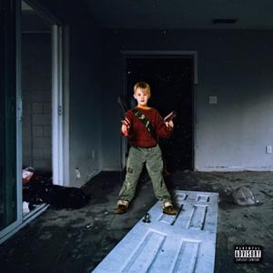 kevin mccallister (Explicit)