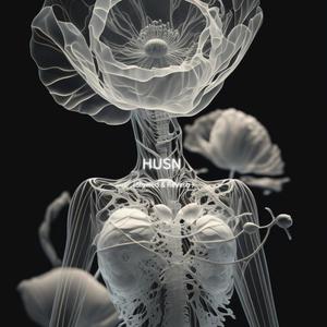 Husn (slowed & reverb)