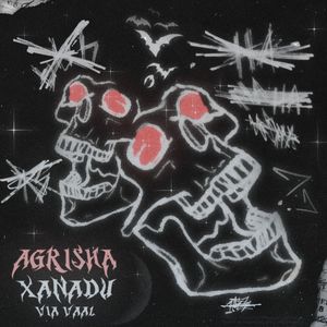 AGRISHA (Instrumental)