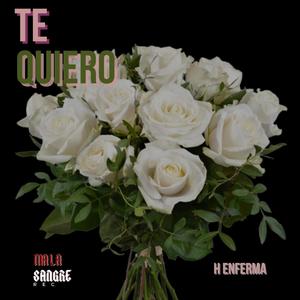 Te Quiero (feat. Garabato Beats) [Explicit]