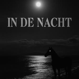 IN DE NACHT (Explicit)