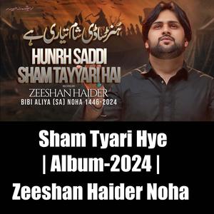 Zeeshan Haider | Sham Tyari Hye | 2024