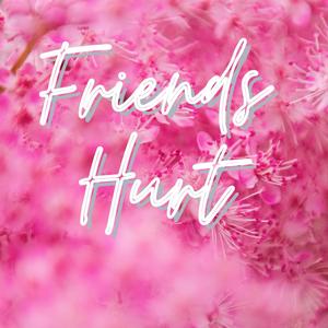 Friends Hurt (Parody of Truth Hurts)