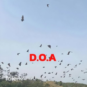 D.O.A