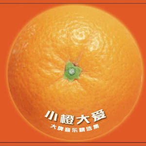 米迪拉封面
