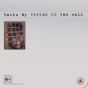 Voice in the wall