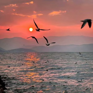 Catch My Breath(Prog house)