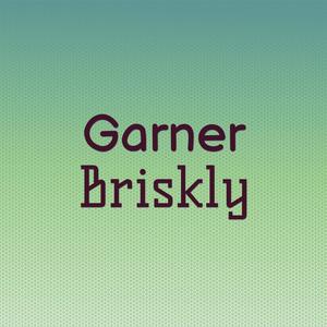 Garner Briskly