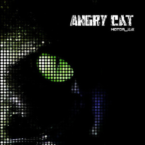 Angry cat