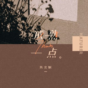 成熟一点封面