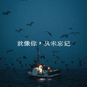 就像你，从未忘记