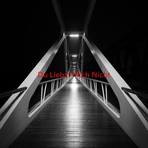 Du Liebst Mich Nicht (Complete version originally performed by Sabrina Setlur)
