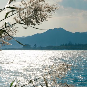 我不停感慨时间流逝的太快