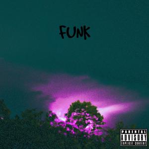 Funk (feat. Nawfside Risky) [Explicit]