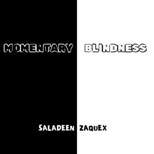 Momentary Blindness