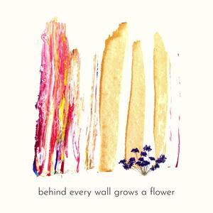 behind every wall grows a flower