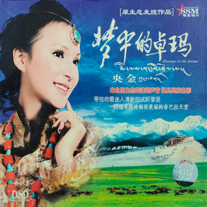多彩的哈达