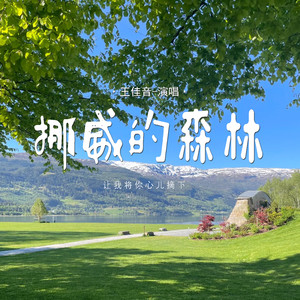 挪威的森林 (让我将你心儿摘下)封面