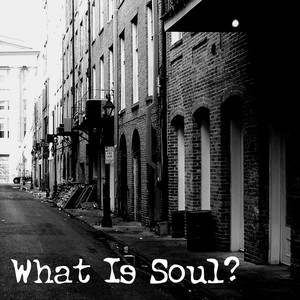 What Is Soul?