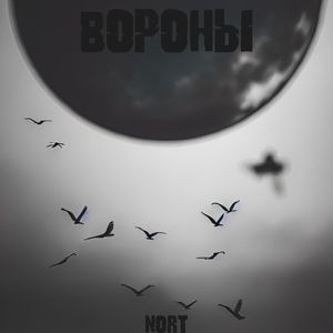 Вороны