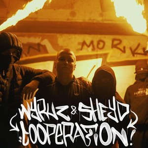 Cooperation (Explicit)