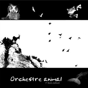 Orchestre animal