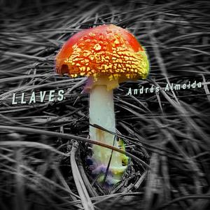 Llaves(feat. Maria Andrea)