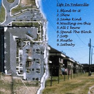 Life in Yodavile (Explicit)