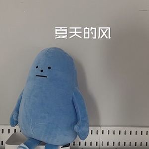 下山 (DJ版)