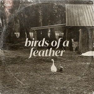 Birds of a Feather (Acoustic|Explicit)