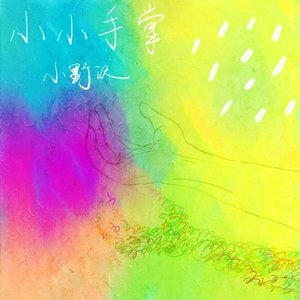小小手掌