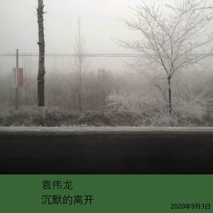 回到过去-袁伟龙