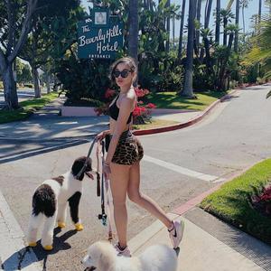 SHOKU RADIO - Why (feat. 1600J & Kobelocks)