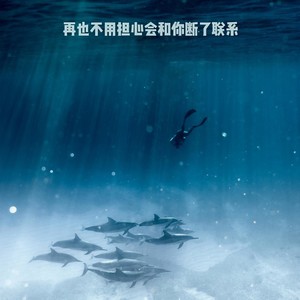 我是真的爱上你