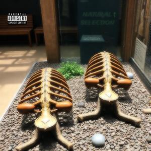 NATURAL SELECTION (Explicit)