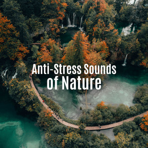 Anti-Stress Sounds of Nature: Soothing Music to Relieve Stress, Relax and Calm Down