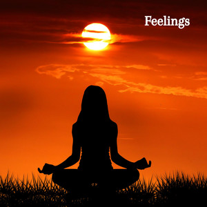 Feelings