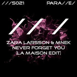 Never Forget You (LA MAISON Edit)