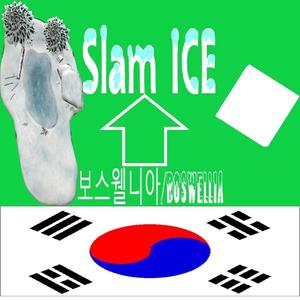 보스웰니아 (feat. Dj Clash & Slam ICE)