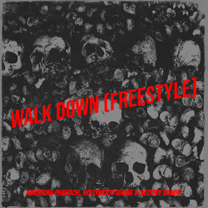 Walk Down (Freestyle) [Explicit]