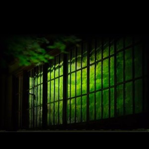 白驹过隙 (纯音乐 吉他版)