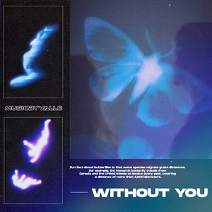 Without You