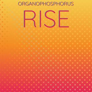 Organophosphorus Rise
