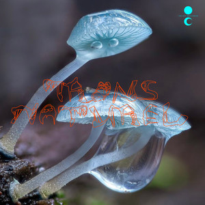 Tanah-Tanih (Original Mix)
