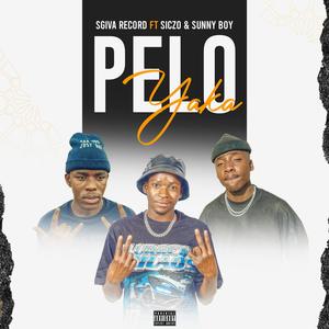 Pelo Yaka (feat. Sickzo) [Explicit]