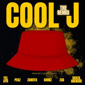Cool J (Shunz, YXL Ayo, Zaneita, ZSB & Peaz Remix|Explicit)