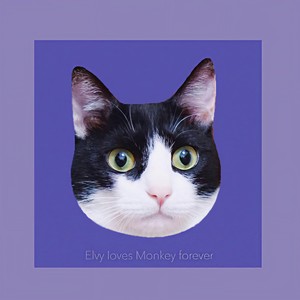 贝影 ElvY - 鱼仔+几分之几