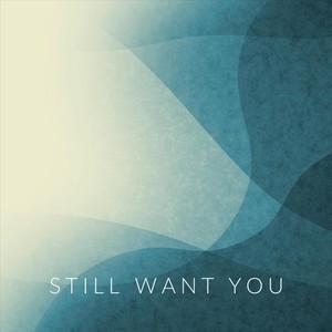 Still Want You (Remix)